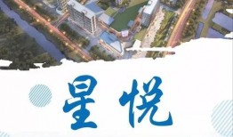 龙湖最新爆料新闻报道,揭秘项目进展与未来规划！”