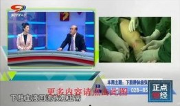 四川频道直播在线观看,实时捕捉巴蜀风情，尽享云端视听盛宴
