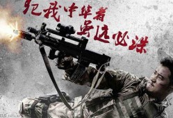 战狼2在线观看DVD,燃情岁月，热血沸腾的视觉盛宴