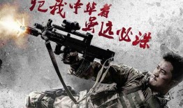 战狼2在线观看DVD,燃情岁月，热血沸腾的视觉盛宴