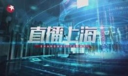 上海东方电视台新闻爆料,聚焦民生热点，揭示社会现象
