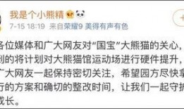 荆楚网网友爆料新闻视频,惊现新闻视频，揭秘事件真相！