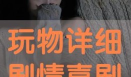 玩物在在线观看,揭秘虚拟世界的奇幻冒险之旅