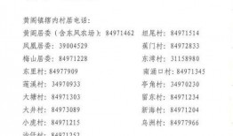 新模板大爆料怎么做的视频,轻松打造热门短视频
