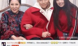 向太娱乐圈爆料,揭秘明星幕后故事