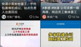 快递爆料小哥视频播放下载,视频播放下载背后的秘密