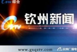 钦州新闻爆料平台电话,倾听民声，助力社会和谐发展”