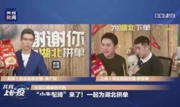 天下财经爆料新闻最新,最新财经热点事件深度解析