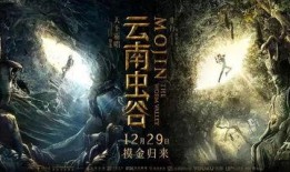 云南虫谷爆料事件视频播放,揭秘神秘虫谷之谜