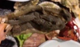 生蚝自助餐爆料视频大全,自助餐爆料视频大全大汇总