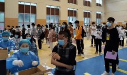 陨星爆料最新消息新闻报道,最新陨星陨落事件引发全球关注