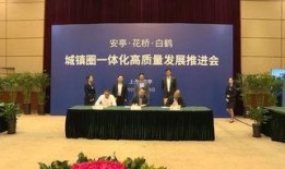 嘉定新闻爆料,揭秘某神秘项目背后真相