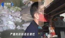 石家庄隔离爆料事件最新