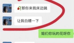 谭竹最新爆料聊天记录在线观看,揭秘聊天记录背后的惊人真相