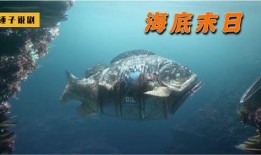 末日海底在线观看,深海奇观与末世危机的惊险之旅
