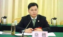 徐凯爆料新闻视频,揭秘新闻背后的真相