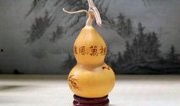 葫芦最新爆料,揭秘神秘事件背后的惊人真相