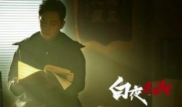 白夜追凶第一季在线观看,黑白交织的悬疑追凶之旅