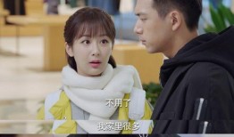 杨紫最新爆料小说,揭开小说背后的神秘面纱