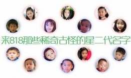 娱乐吃瓜名字叫什么好听,揭秘那些好听又独特的娱乐吃瓜名字