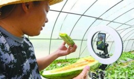 八卦吃瓜纯音乐在线听免费,免费在线聆听八卦之音