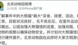 荆楚网网友爆料新闻视频,惊现新闻视频，揭秘事件真相！