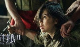 战狼2在线观看DVD,燃情岁月，热血沸腾的视觉盛宴