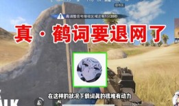 和平之星爆料视频