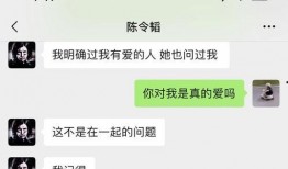 谭竹最新爆料聊天记录在线观看,揭秘聊天记录背后的惊人真相