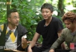 网友爆料汪涵事件视频,网友热议背后的真相