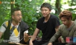 网友爆料汪涵事件视频,网友热议背后的真相