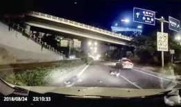 广州东莞爆料事件视频,视频揭露惊人真相