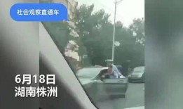 爆料视频交警怎么处罚,揭秘执法过程
