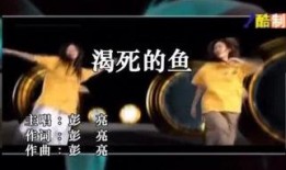 渴在线观看,揭秘网络直播的激情与挑战