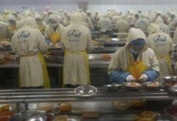 剥虾工人爆料怎么做的视频,揭秘高效剥虾技巧视频教程