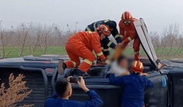 吃瓜网民 免费上车,揭秘娱乐圈幕后真相