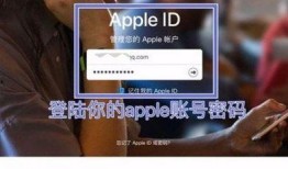 国际服爆料在哪看视频啊,揭秘观看独家视频的神秘途径