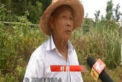 潮汕母女爆料新闻报道,家庭悲剧背后的真相