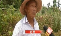 潮汕母女爆料新闻报道,家庭悲剧背后的真相