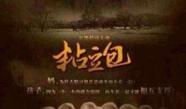 粘豆包第33集在线观看,揭秘神秘传承，传承人身份揭晓