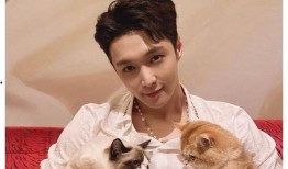 时尚圈博主爆料视频大全,潮流风向标背后的秘密揭晓