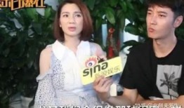 张丹峰爆料出轨视频,真相与舆论的漩涡