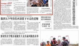 法治日报深圳爆料新闻最新,最新爆料揭示城市治理新动向