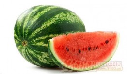 甘肃吃瓜网红是谁啊视频,揭秘当地网红现象