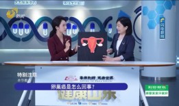 山东在线直播观看,全景体验齐鲁文化魅力