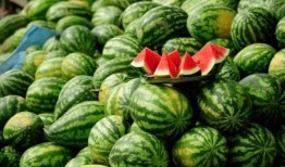 网红吃最新瓜,揭秘娱乐圈最新热点事件