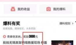今日头条小鱼爆料视频,揭秘热门视频背后的故事