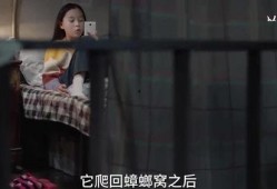 大姐姐技能爆料视频,视频爆料带你领略非凡魅力