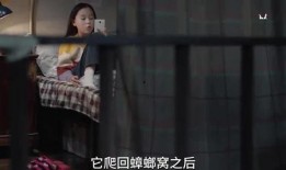 大姐姐技能爆料视频,视频爆料带你领略非凡魅力