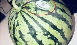 网红吃最新瓜,揭秘娱乐圈最新热点事件